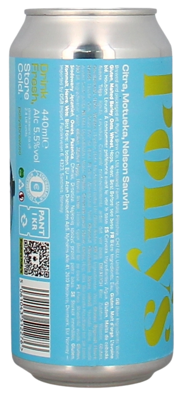 Polly's Bring Back The Sun DDH Pale Ale Dose