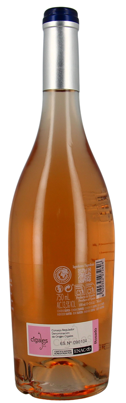 Aire de Protos Rosé Cigales DO