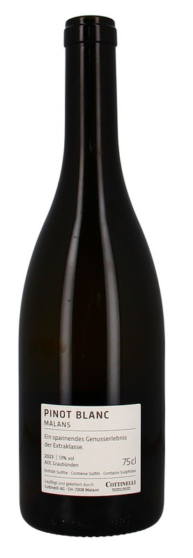 Cottinelli Pinot Blanc