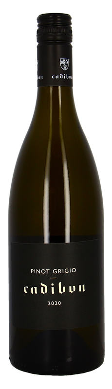 Cadibon Pinot Grigio
