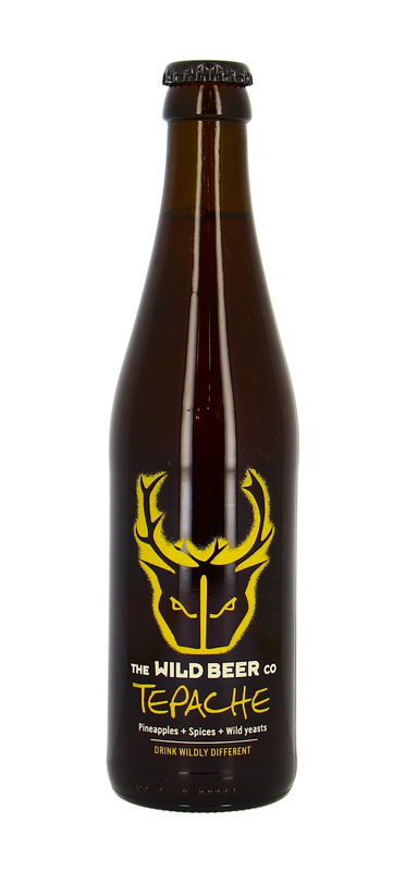 Ayinger Altbairisch Dunkel MW  (Vorbestellung)