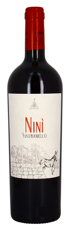 Nini Susumaniello