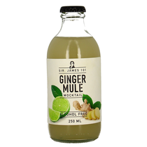 Sir James 101 Ginger Mule Mocktail 