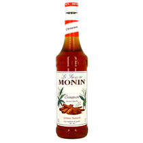 Zimt Sirup Monin