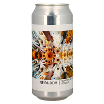 Popihn NEIPA DDH Dolcita/Citra Dose 
