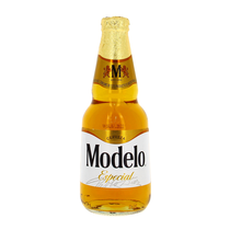 Modelo Especial 