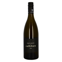 Cadibon Pinot Grigio