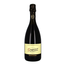 Lambrusco "Centenario" Amabile 
Grasparossa di Castelvetro doc 
Cleto Chiarli
