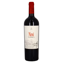 Nini Susumaniello